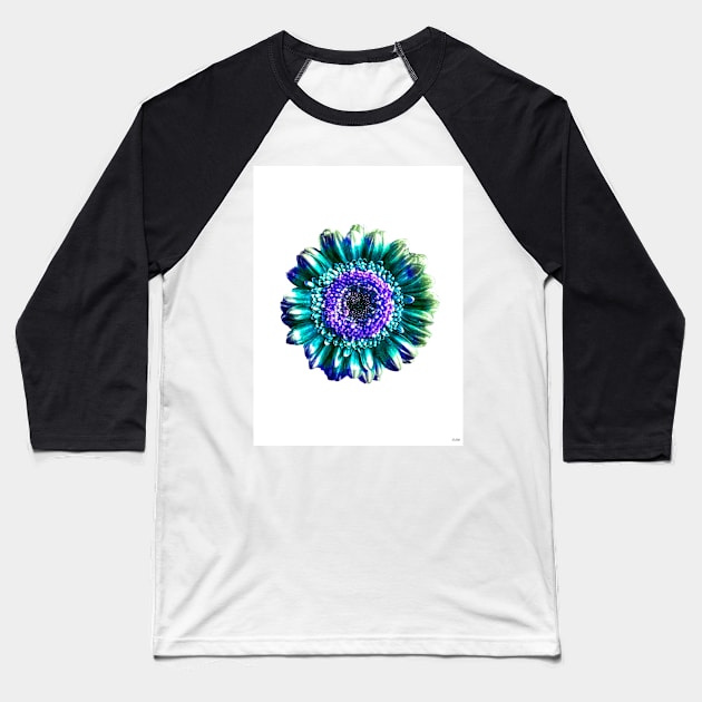 Blue Gerbera Flower Baseball T-Shirt by danieljanda